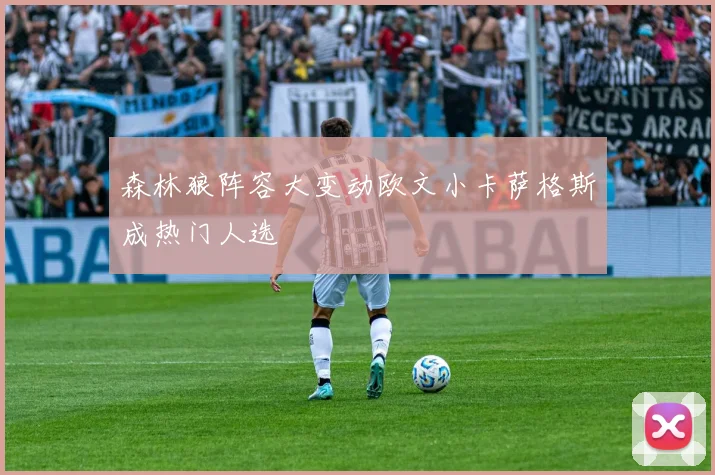 森林狼阵容大变动欧文小卡萨格斯成热门人选